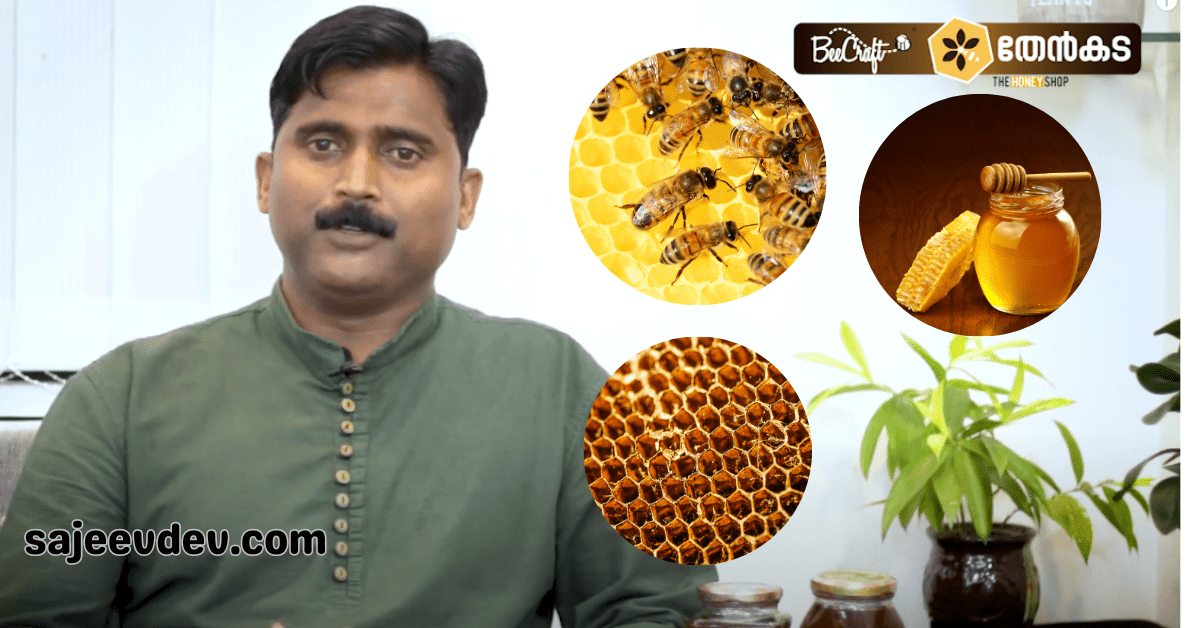 Usman Madari: A Beekeeping Visionary Inspiring the Next Generation