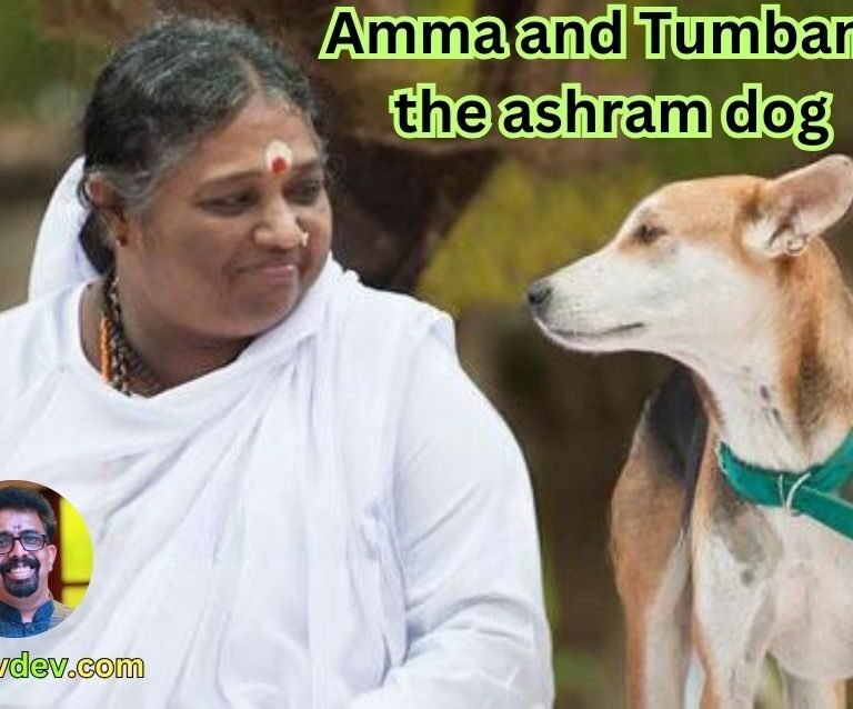 Amma and Tumban, the ashram dog