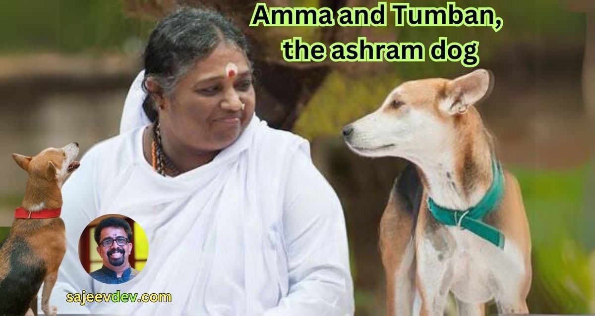 Amma and Tumban, the ashram dog