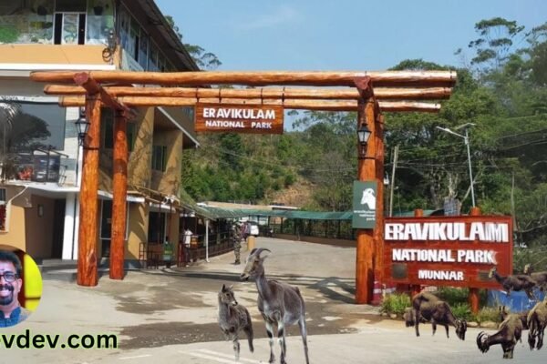 Eravikulam National Park