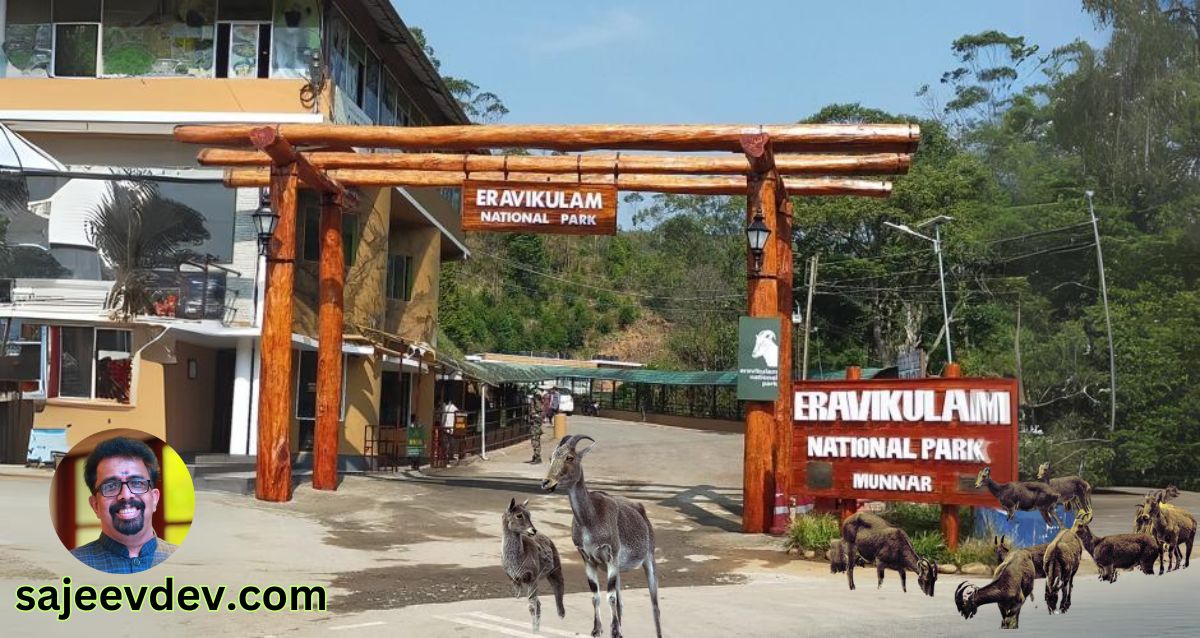 Eravikulam National Park