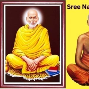 Sree Narayana Guru