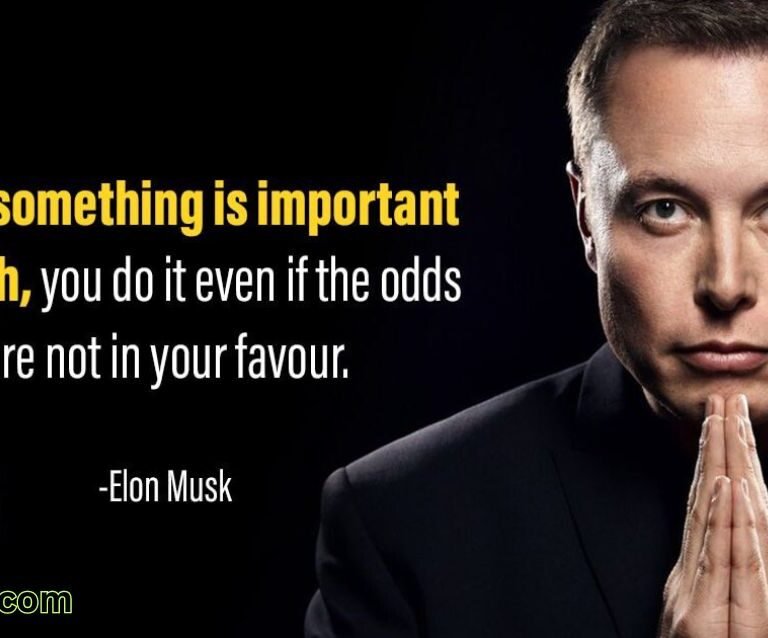 ‘When something is important enough, you do it even if the odds are not in your favor.