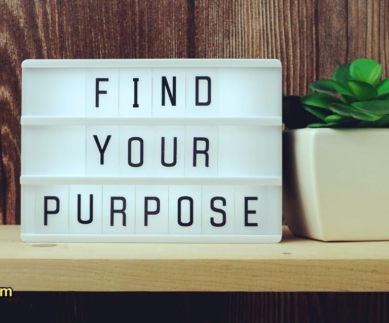 Your work is going to fill a large part of your life, and the only way to be truly satisfied is to do what you believe is great work. And the only way to do great work is to love what you do."