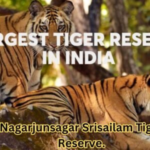 Nagarjunsagar Srisailam Tiger Reserve.