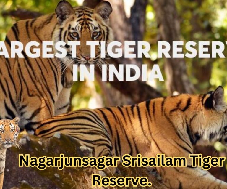 Nagarjunsagar Srisailam Tiger Reserve.