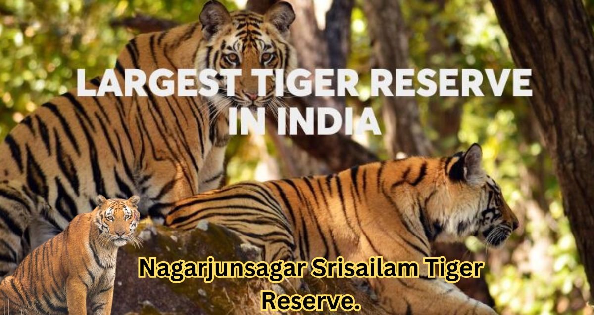 Nagarjunsagar Srisailam Tiger Reserve.