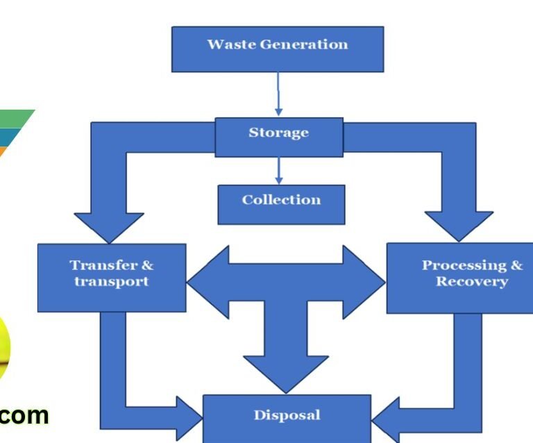 Essential Principles of Solid Waste Management for Sustainable Practices