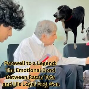 Farewell to a Legend: The Emotional Bond Between Ratan Tata and His Loyal Dog, Goa