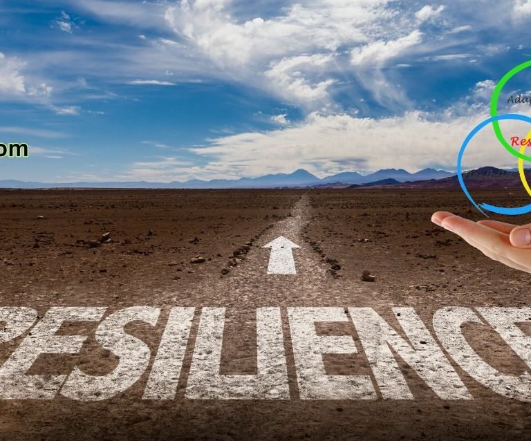 The Unstoppable Force of Success: Embracing Action and Resilience