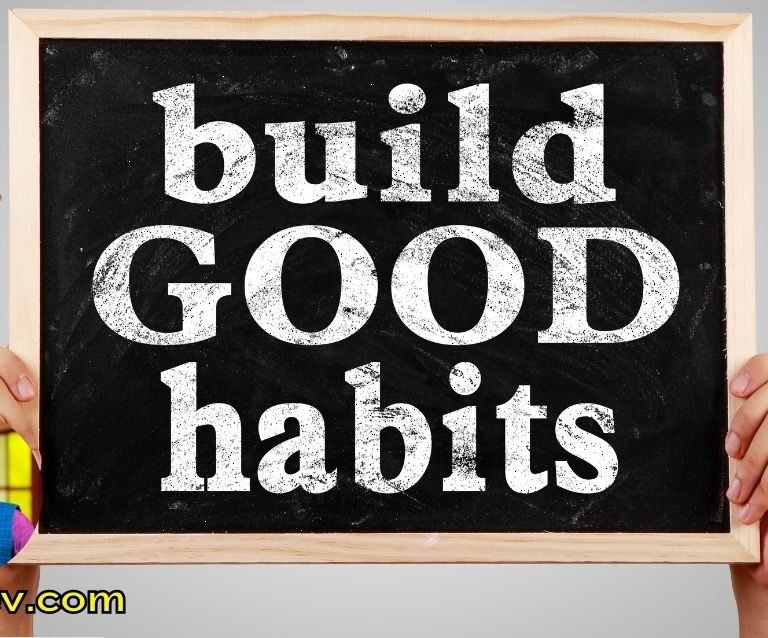 Your success is determined by the habits you build daily
