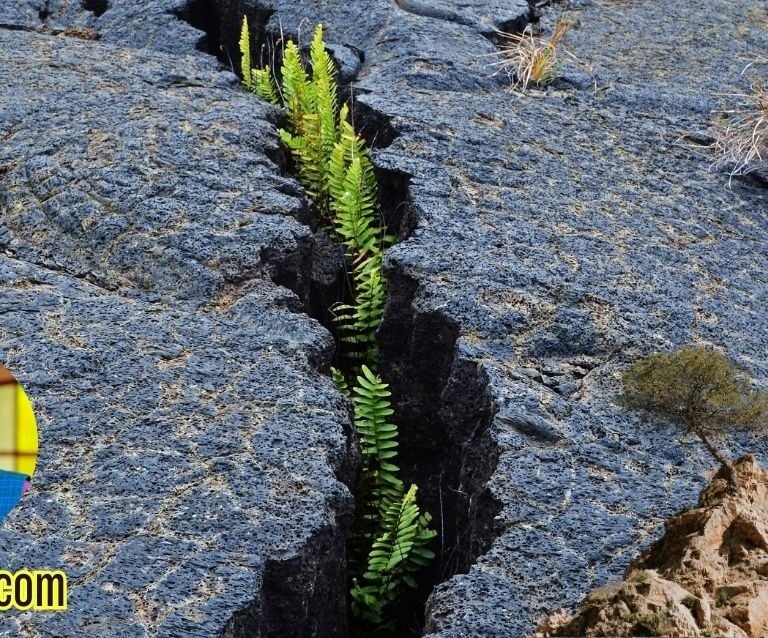 Becoming Unshakeable: Building Inner Stability in a Chaotic World Practical tools for emotional resilience and groundedness.