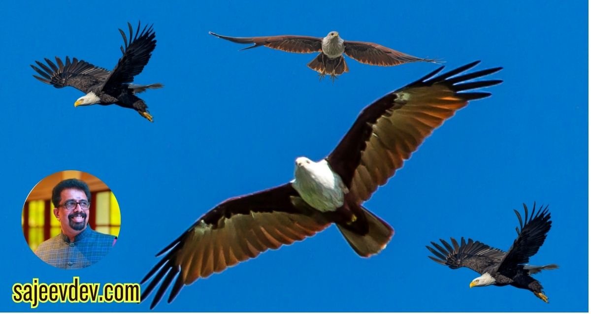 Soaring High: Lessons from the Eagle on Strength, Freedom, and Vision