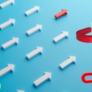 Magnetic Leadership: How to Get People to Follow You Willingly – Creating a vision people believe in.