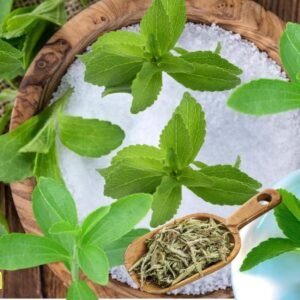 The Sweet Benefits of Stevia Leaves: A Natural Zero-Calorie Sweetener for Your Tea