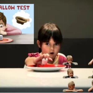 Understanding the Marshmallow Experiment: Insights into Children's Self-Control