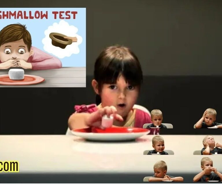 Understanding the Marshmallow Experiment: Insights into Children's Self-Control