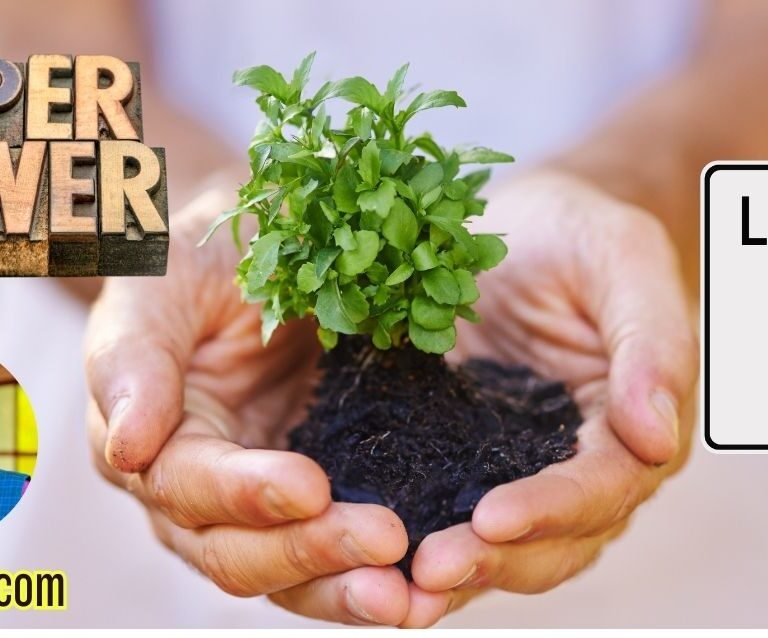 Unlearning to Grow: Shedding Limiting Beliefs Sometimes growth isn’t adding more—it’s letting go.